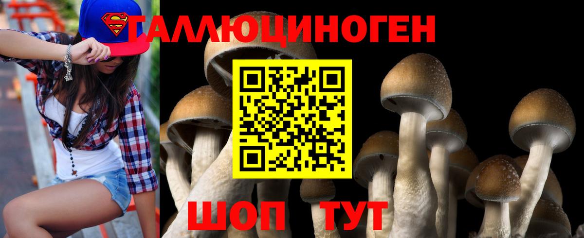 Шелехов  Галлюциногенные грибы MAGIC MUSHROOMS  Вход с VPN  Псилоцибиновые грибы Psilocybe 